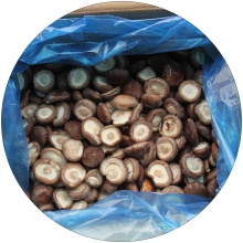 Healthy Food High Quality Vegetable Snack Shiitake Mushroom Crispy